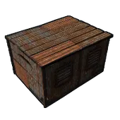 Skin's image