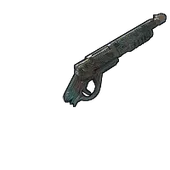 Skin's image