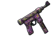 Skin's image
