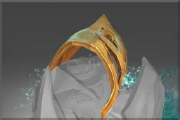 Skin's image