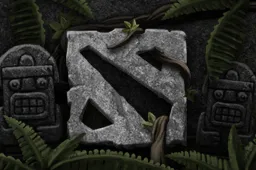 Skin's image