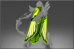 Autographed Sparrowhawk Cape