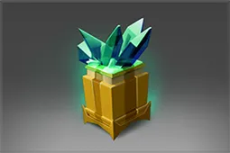 Skin's image