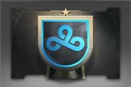 Skin's image