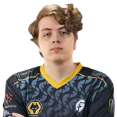 Skin's image