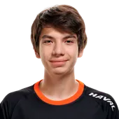 Skin's image
