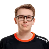 Skin's image