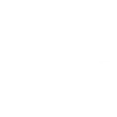 Skin's image