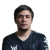 Skin's image