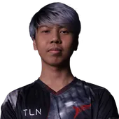 Skin's image