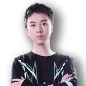 Skin's image