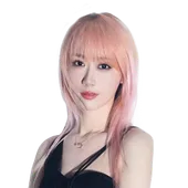 Skin's image