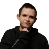 Skin's image