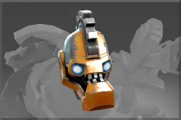 Skin's image