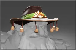Skin's image