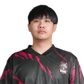 Skin's image