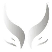 Skin's image