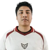 Skin's image