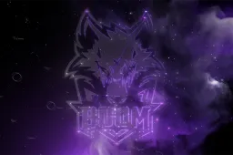 Skin's image