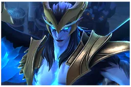 Skin's image