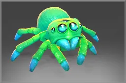 Autographed Lycosidae's Spiderling
