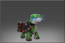 Skin's image
