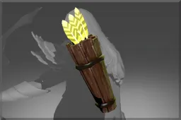 Skin's image