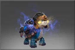 Skin's image