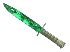 Skin's image