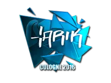 Skin's image