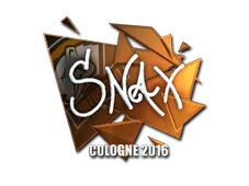 Skin's image