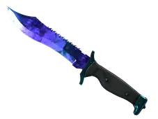 Skin's image