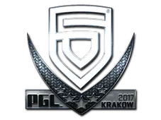 Skin's image