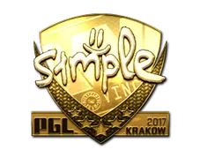 Skin's image