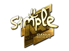 Skin's image