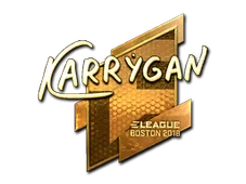 Skin's image
