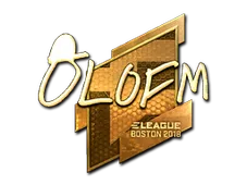 Skin's image