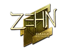 Skin's image