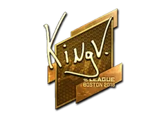 Skin's image