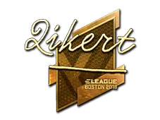 Skin's image