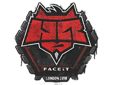 Skin's image