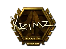Skin's image