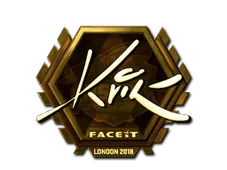 Skin's image