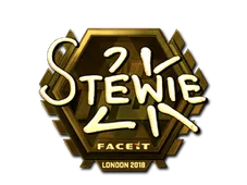 Skin's image