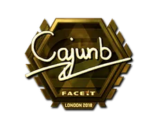 Skin's image