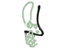 Skin's image