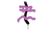Skin's image