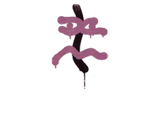 Skin's image