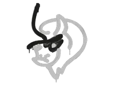 Skin's image