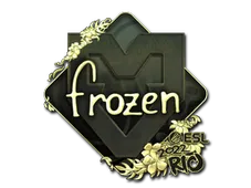 Skin's image